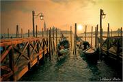 VENICE21 (8)